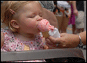 Taste of 
			Buffalo July 15, 2008